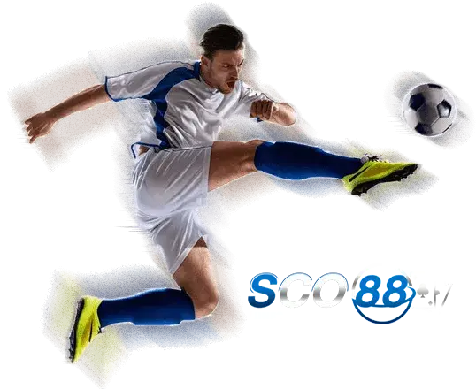 sco88 สล็อต