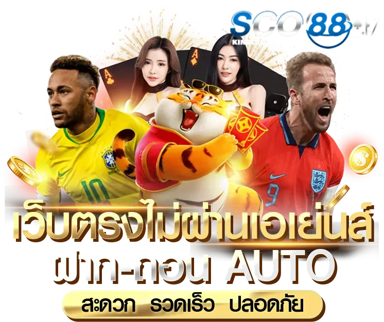 sco88 สล็อต
